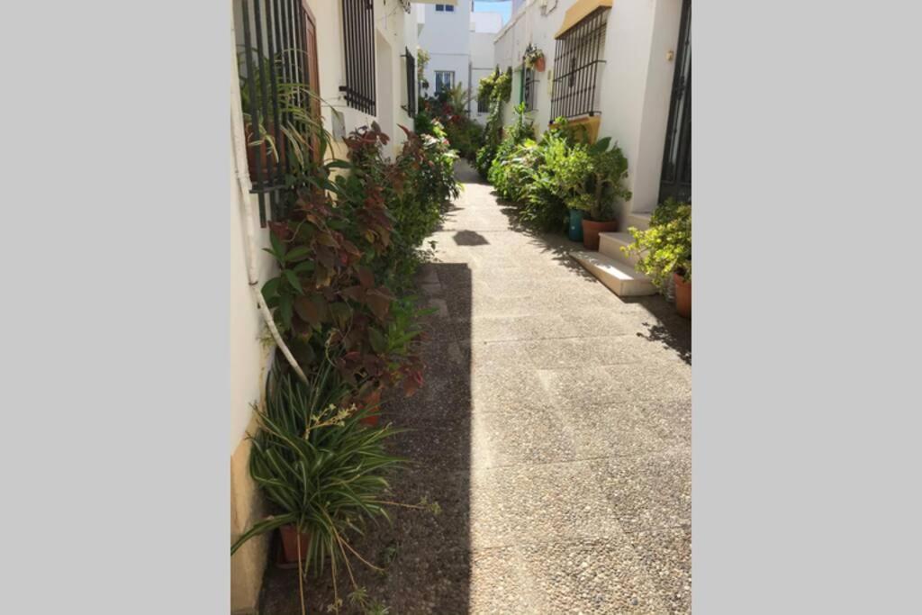 Apartamento Con Azotea Privada Para Parejas Y Familias Conil De La Frontera Esterno foto